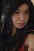 Prato Transex Tain� Oliveira 328 53 82 487 foto selfie 94