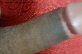 Prato Transex Tain� Oliveira 328 53 82 487 foto selfie 171