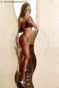 Sanremo Transex Vivy Noronha 333 18 67 209 foto selfie 10