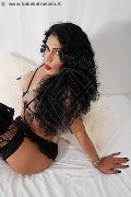 Foto Shaila Rodriguez Sexy Trans Rende 3384745523 - 3