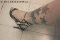 Foto Suzana Pantera Sexy Trans Alessandria 3929724965 - 55