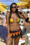 Foto Tain� Oliveira Sexy Trans Prato 3285382487 - 54