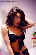 Foto Tain� Oliveira Sexy Trans Prato 3285382487 - 26
